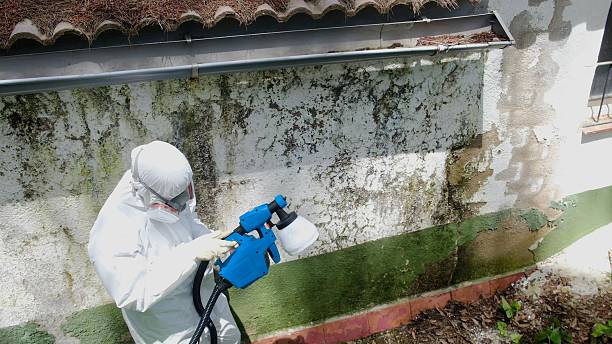 Top rated local Crawl Space Mold Removal specialists in Oakland, TN